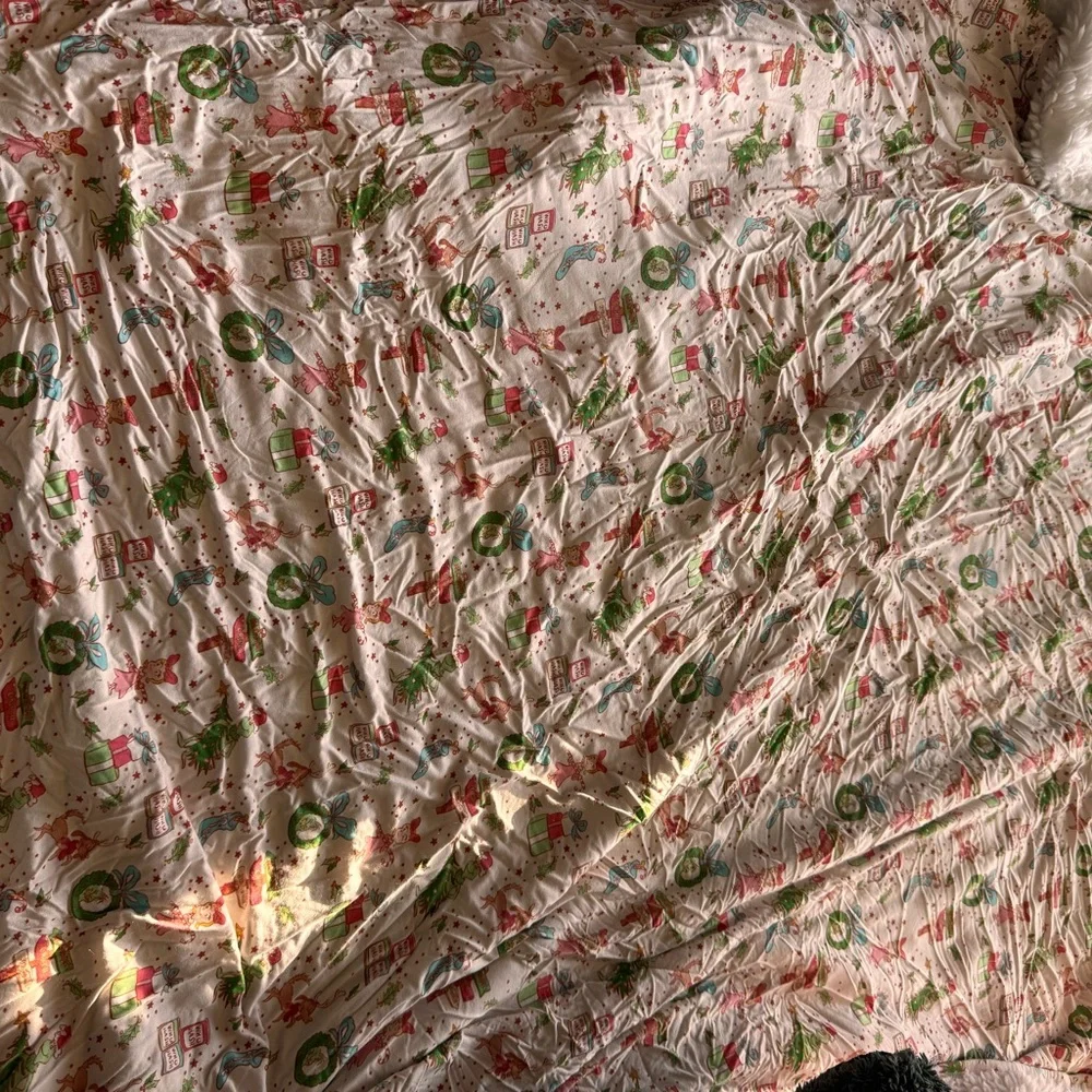 Scoots Festive Holiday - Grinch Plush blanket